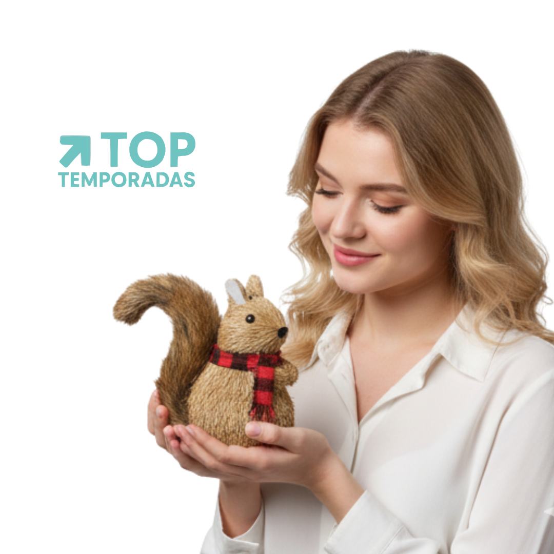 Ardilla Navideña Café 14X14CM