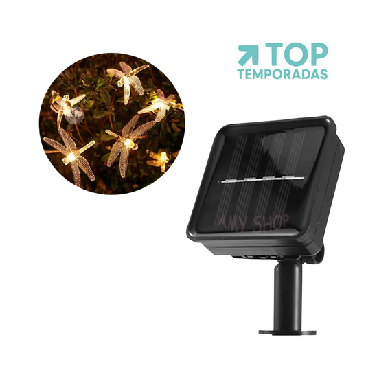 Luces Lineales Libélula X50 Cálida