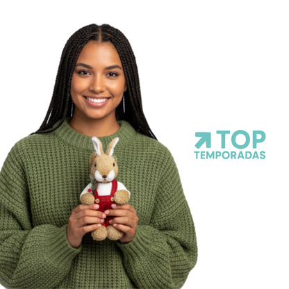 Ardilla Navideña Cafe Elegante 26X12CM