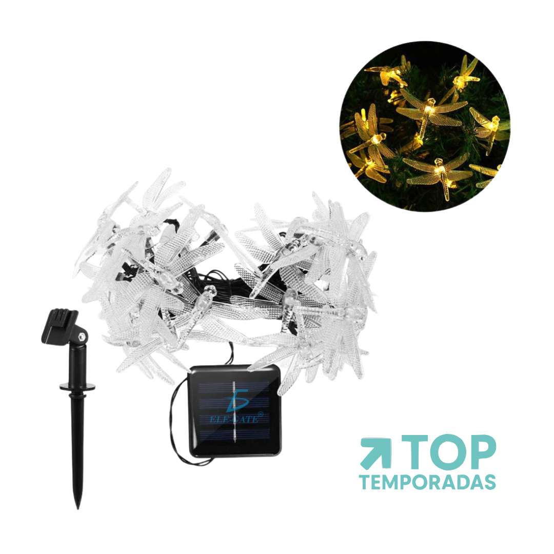 Luces Lineales Libélula X50 Cálida