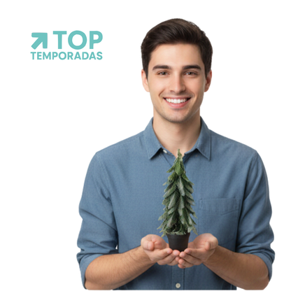 Árbol Navideño Verde