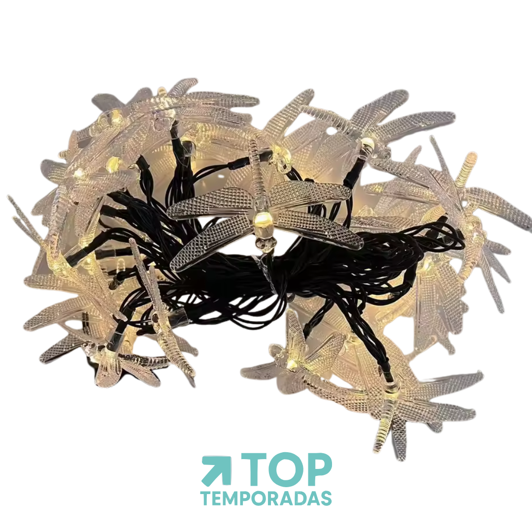 Luces Lineales Libélula X50 Cálida