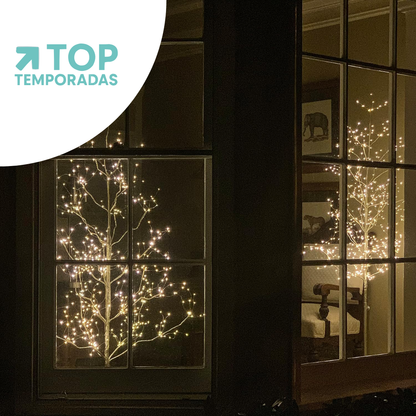 Árbol Chamizo Luz Cálida