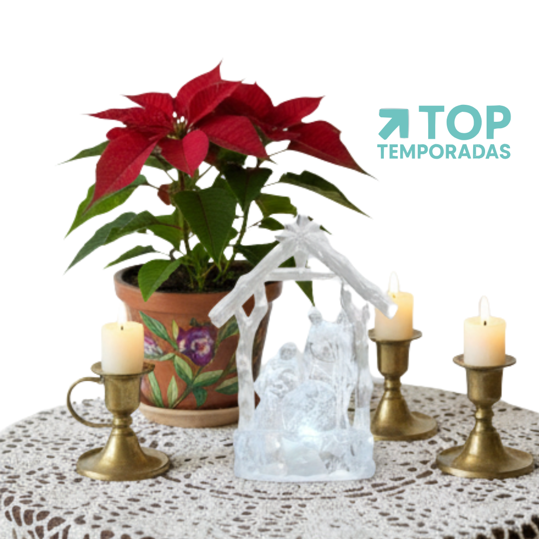 Pesebre Con Led Navideño