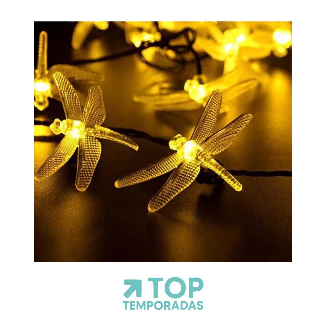 Luces Lineales Libélula X50 Cálida