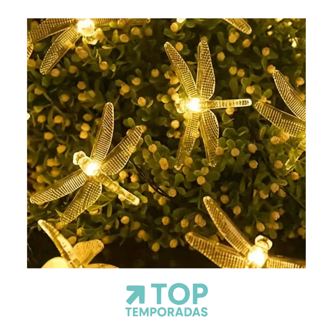 Luces Lineales Libélula X50 Cálida