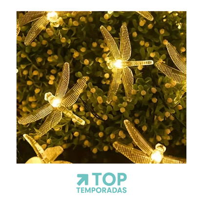 Luces Lineales Libélula X50 Cálida